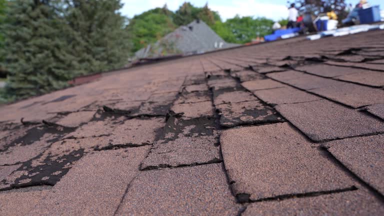 Best Chimney Flashing Repair  in St Lawrence, PA