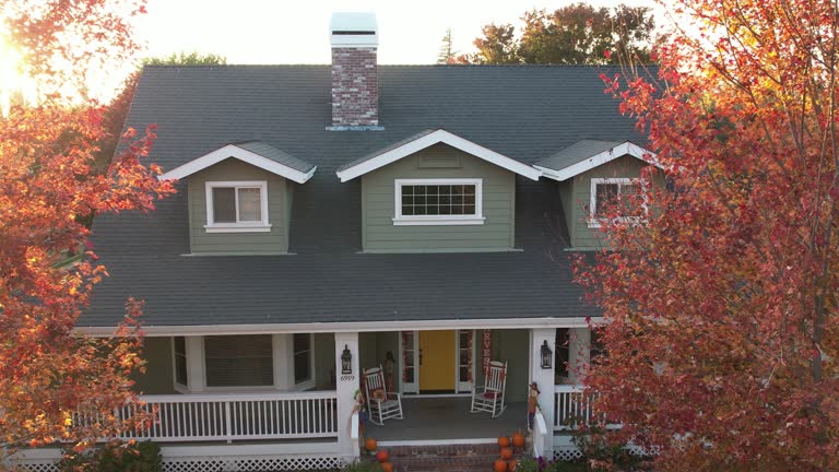Best Roof Moss and Algae Removal  in St Lawrence, PA
